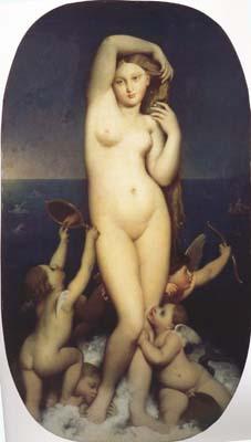 Jean Auguste Dominique Ingres The Birth of Venus (mk04)